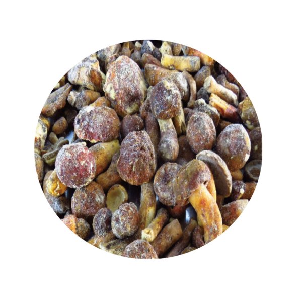 Frozen Boletus Edulis