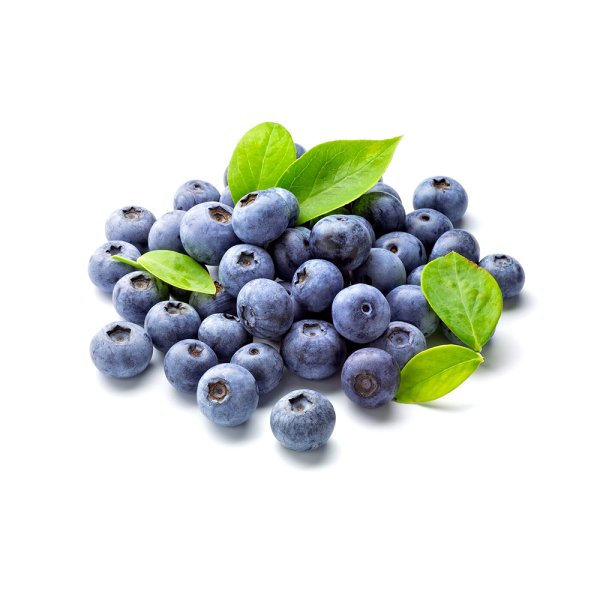 Fresh Blueberry