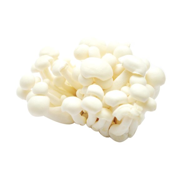 Fresh White Jade Mushroom