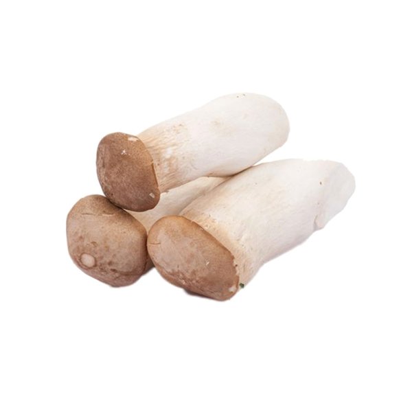 Fresh King Oyster Mushroom