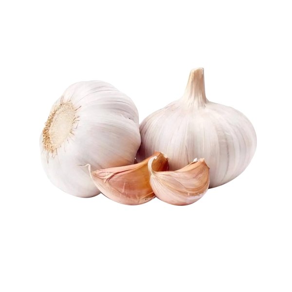 Fresh Garlic