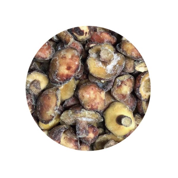 Frozen Suillus Luteus